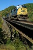 V313 @ Clinchport, VA 10/17/07